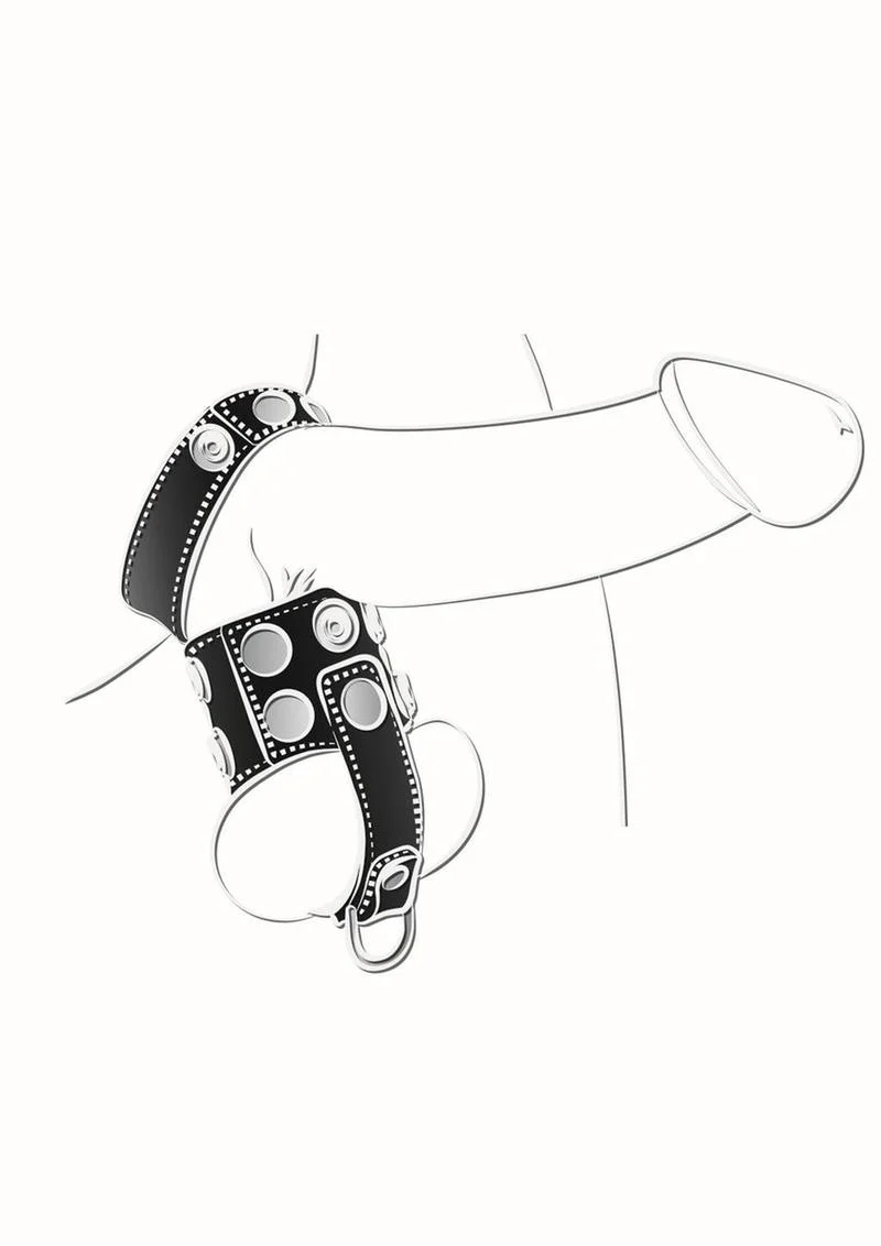 Ballgear Ball Stretcher with Separator and D-Ring - Image 3