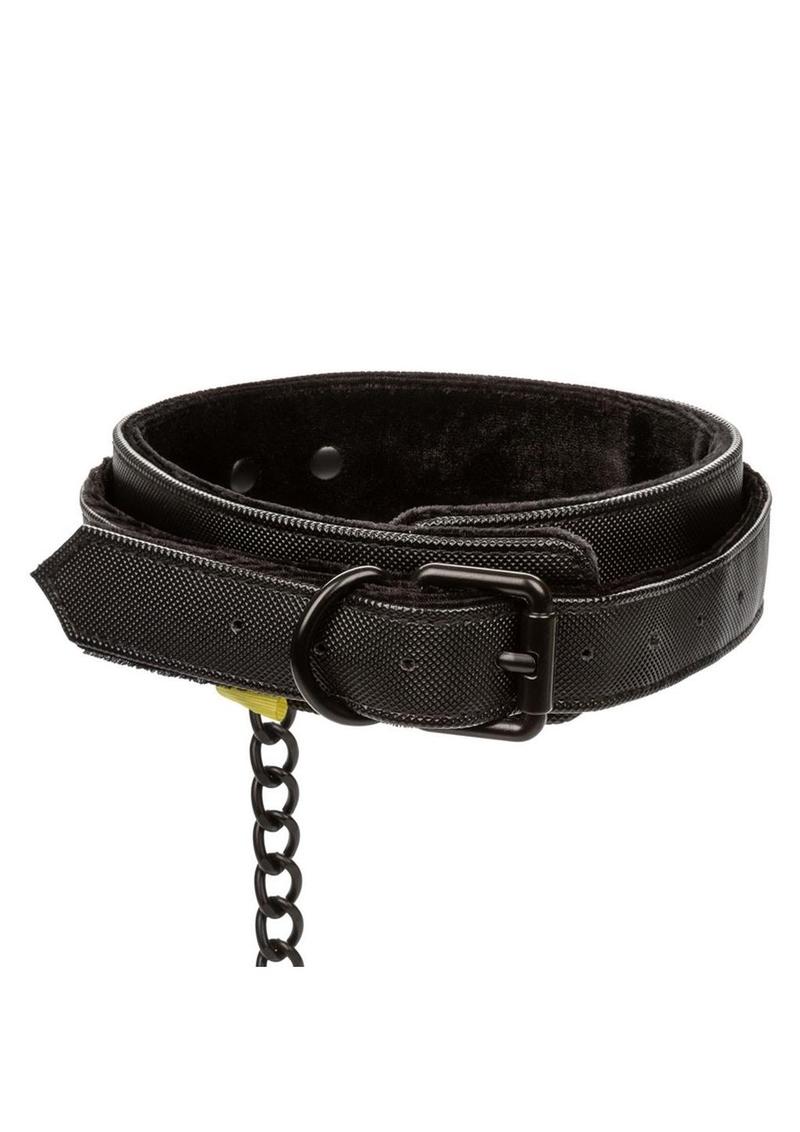 Boundless Collar and Leash - Image 3