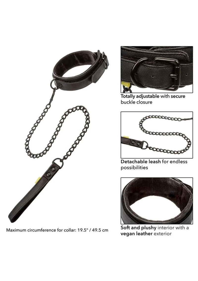 Boundless Collar and Leash - Image 4