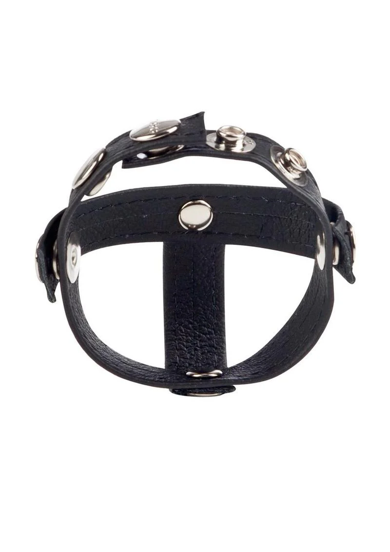 Colt Leather C/B Strap H-Piece Divider Cock Ring - Image 4