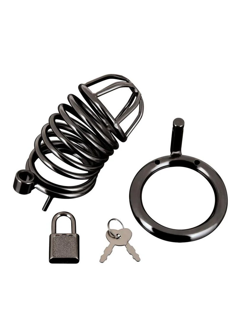 Deluxe Chastity Cage - Image 2
