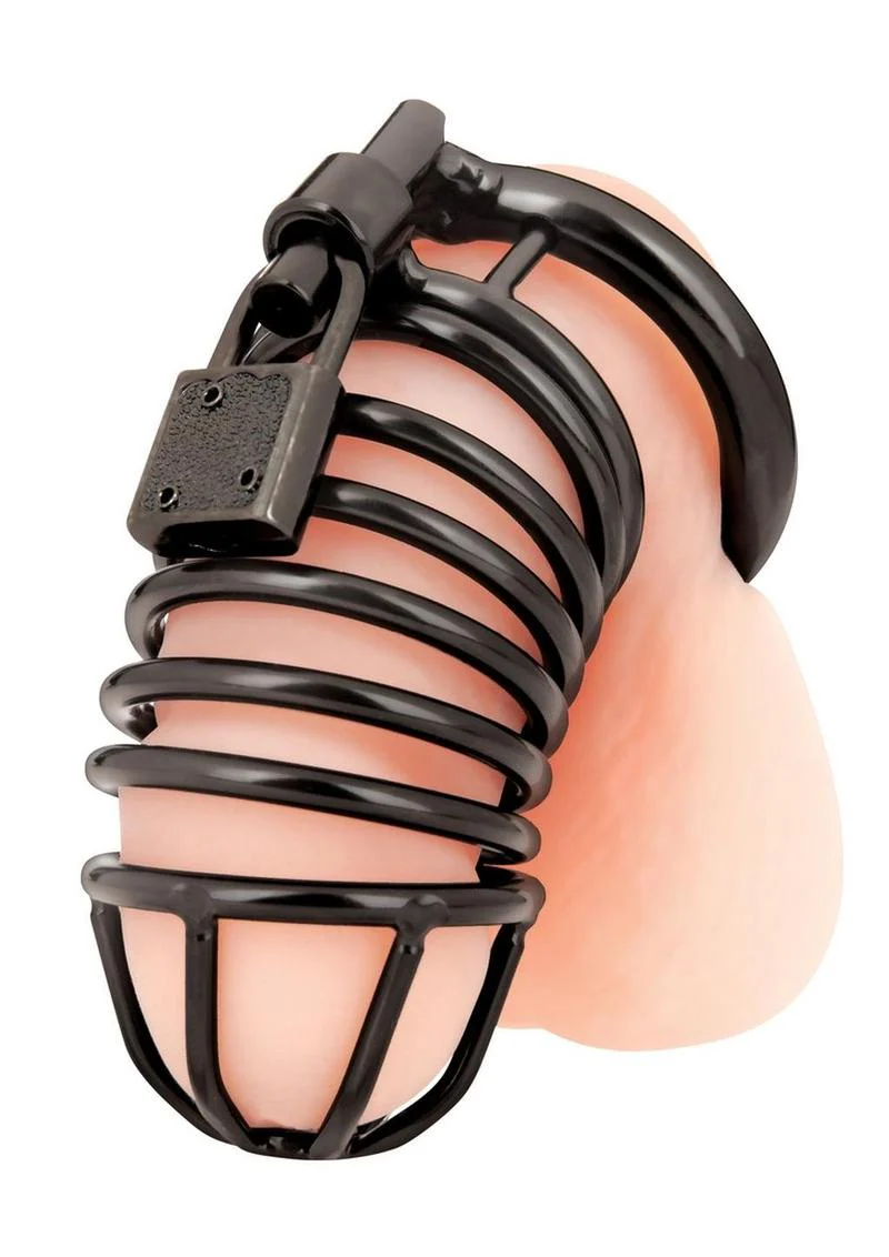 Deluxe Chastity Cage - Image 7