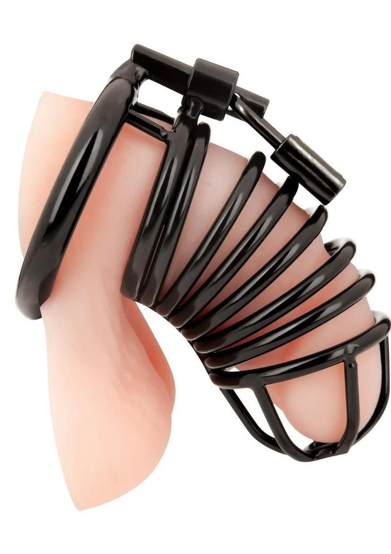 Deluxe Chastity Cage - Image 8