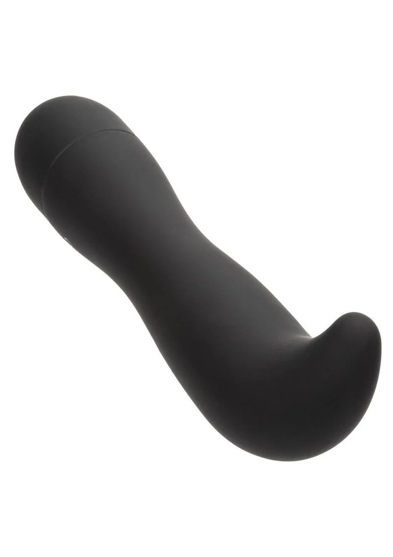 Dr. Joel Kaplan Rechargeable Silicone Prostate Probe Anal Vibrator - Image 3