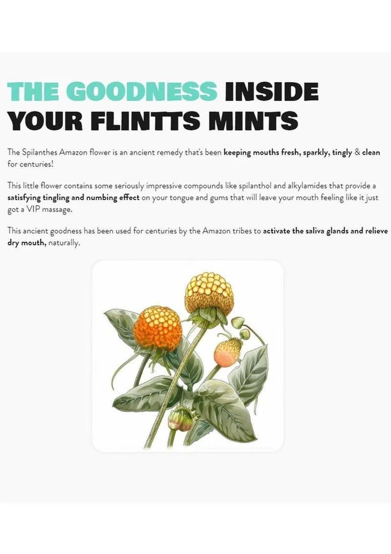 Flintts Mints Mouth Watering Oral Delights - Cool Watermelon - Image 4