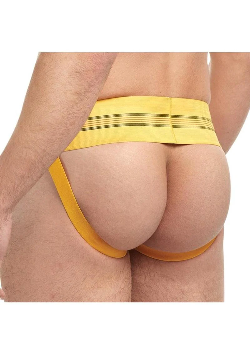 Goal Line Class Jockstrap - Image 20