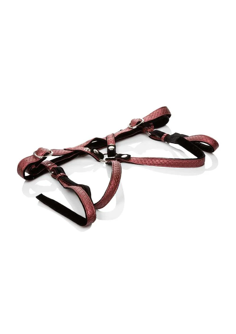Her Royal Harness The Regal Duchess Adjustable Harness - Image 3
