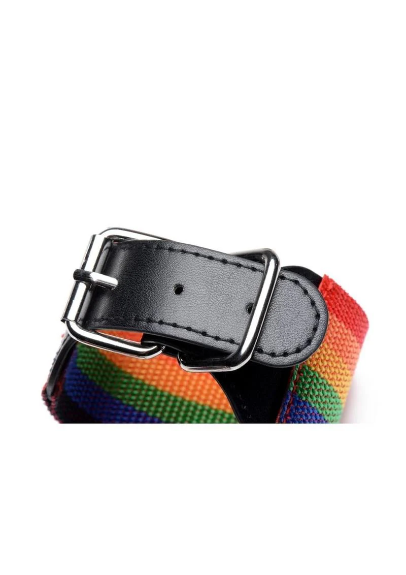 Kinky Pride Rainbow Bondage Set - Wrist/Ankle Cuffs and Collar with Leash - Image 3