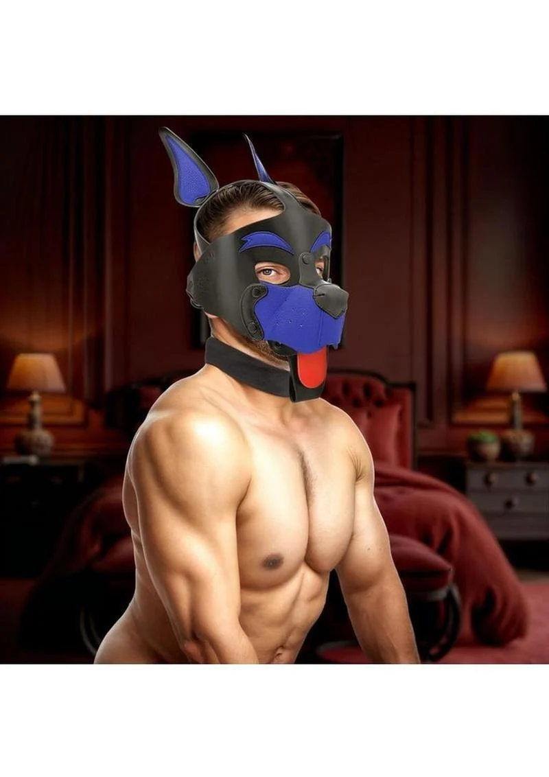 Master Series Alpha Dog Pup Hood - Image 8