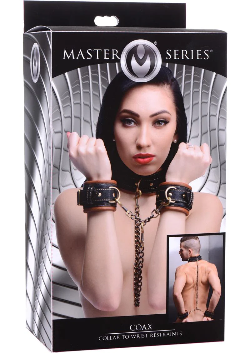 Master Series Coax Collar to Wrist Restraints - Image 2