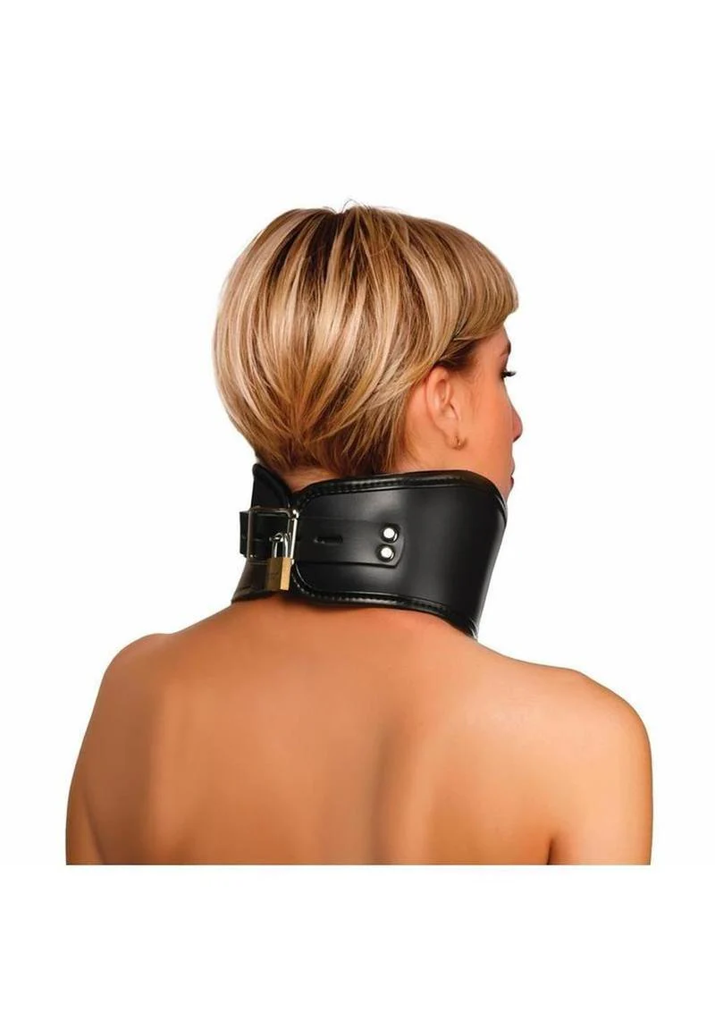 Master Series Hard Stance Padded Lock Posture Collar - Image 4
