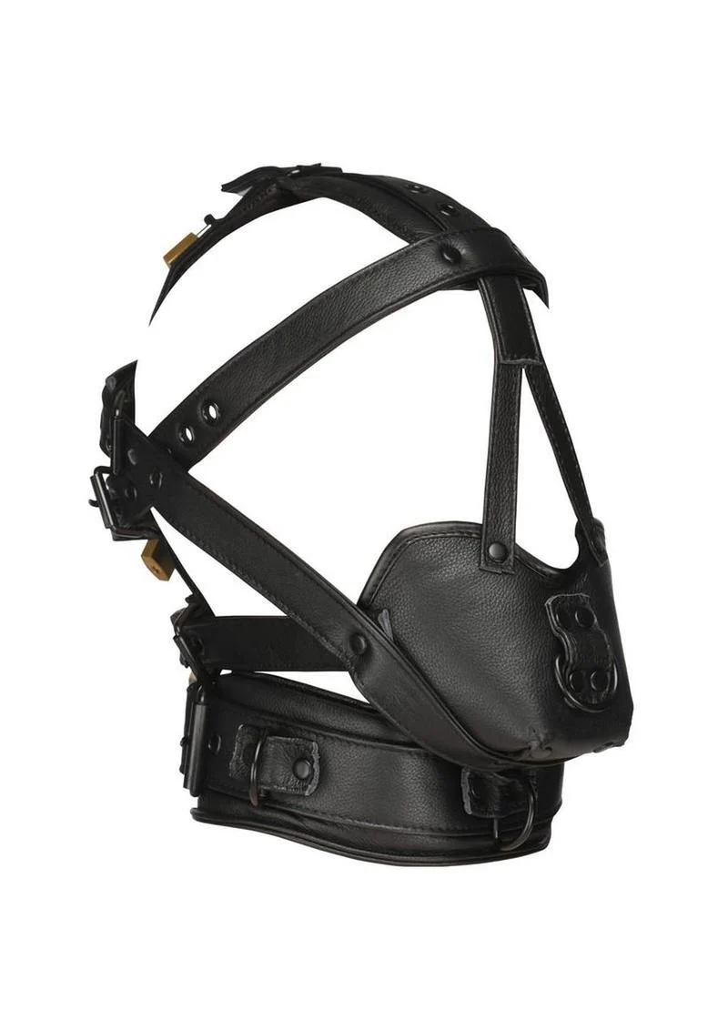 Master Series Leather Head Harness with Muzzle - Image 3