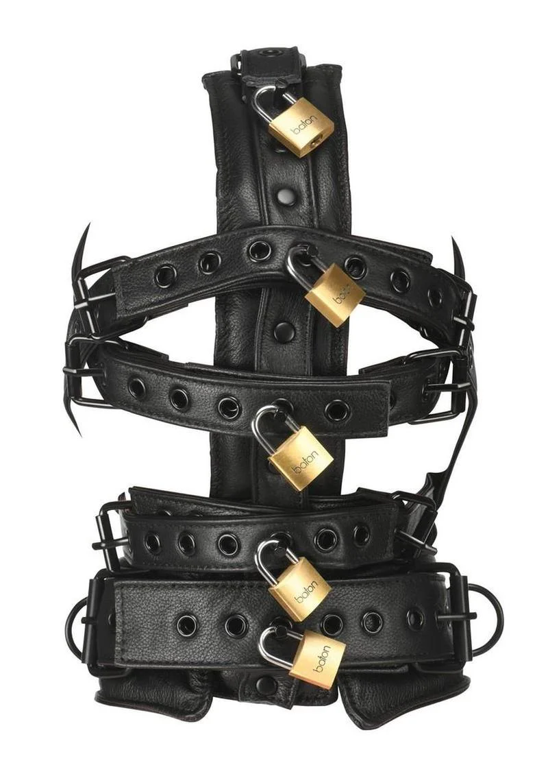 Master Series Leather Head Harness with Muzzle - Image 4