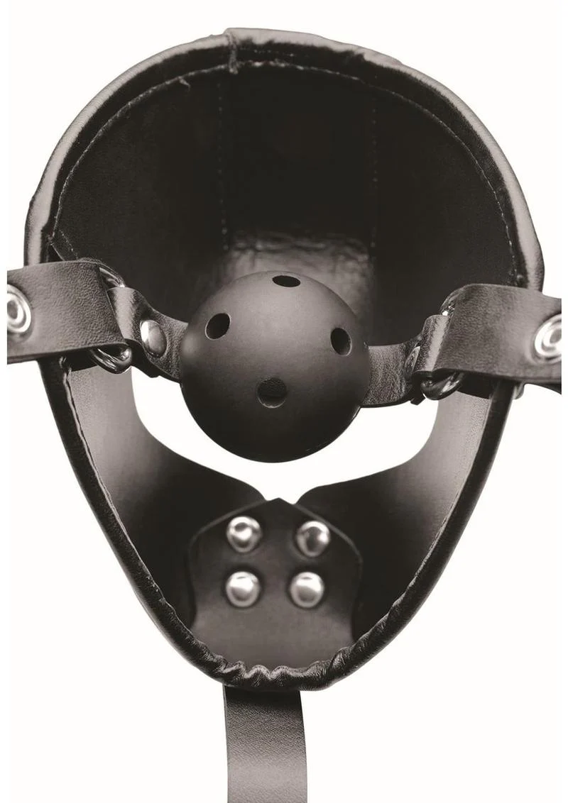 Master Series Pup Puppy Play Hood + Breathable Ball Gag - Image 3