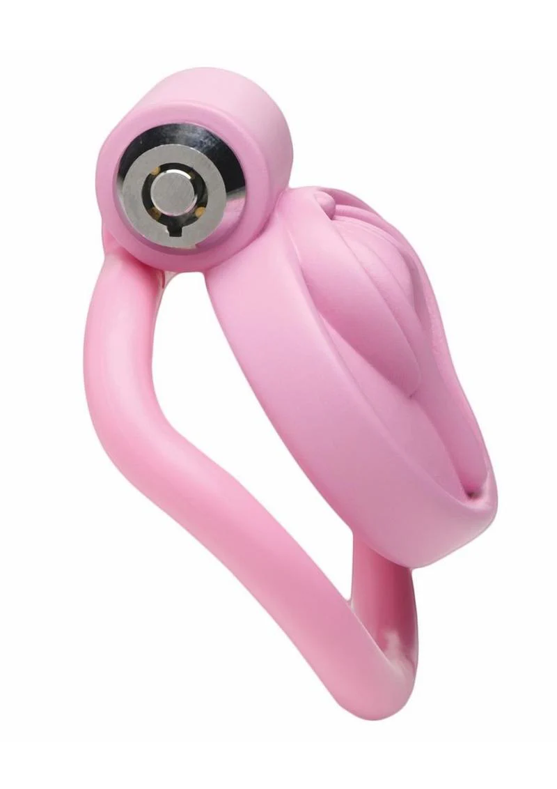 Master Series Pussification Vulva Chastity Cage - Image 3