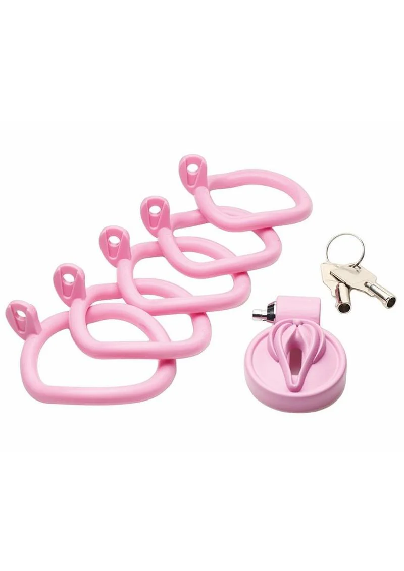 Master Series Pussification Vulva Chastity Cage - Image 4
