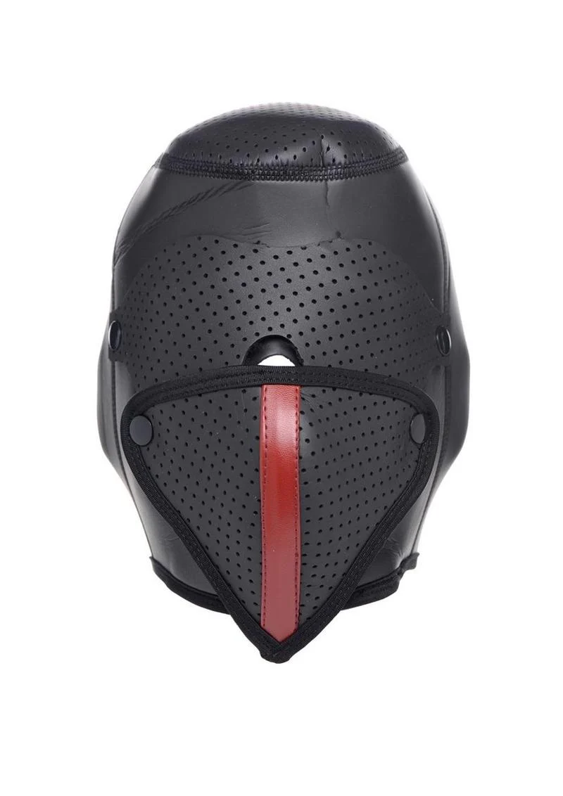 Master Series Scorpion Hood with Removable Blindfold and Face Mask - Image 4
