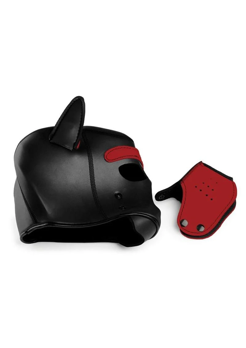 Master Series Spike Neoprene Puppy Hood - Image 4