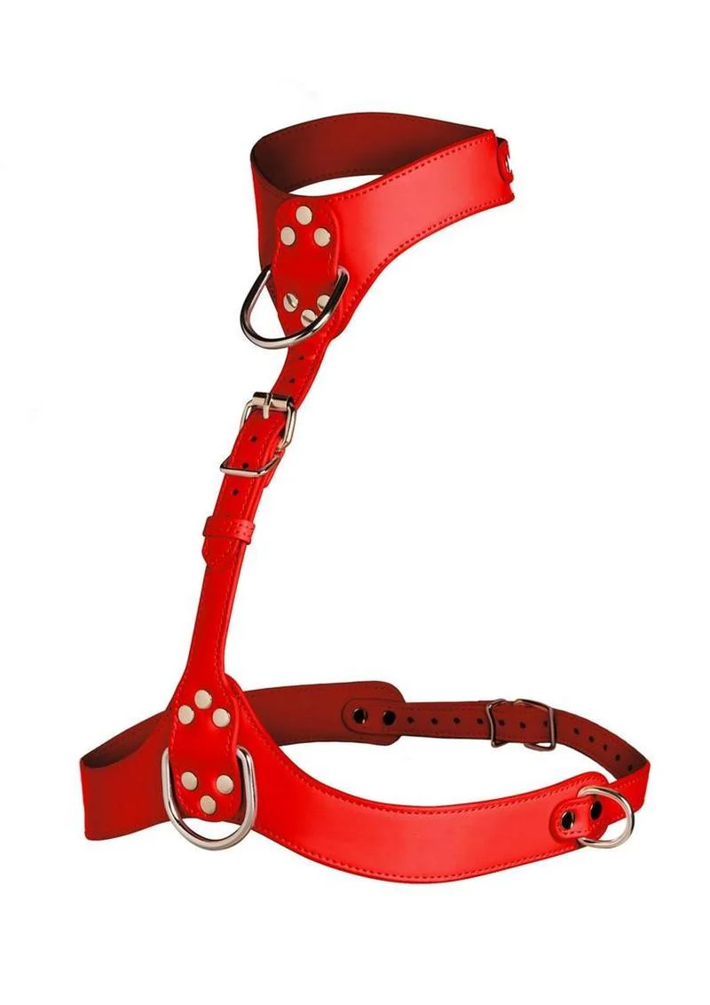 Master Series Vixen Female Chest Vegan Leather Harness - Image 3