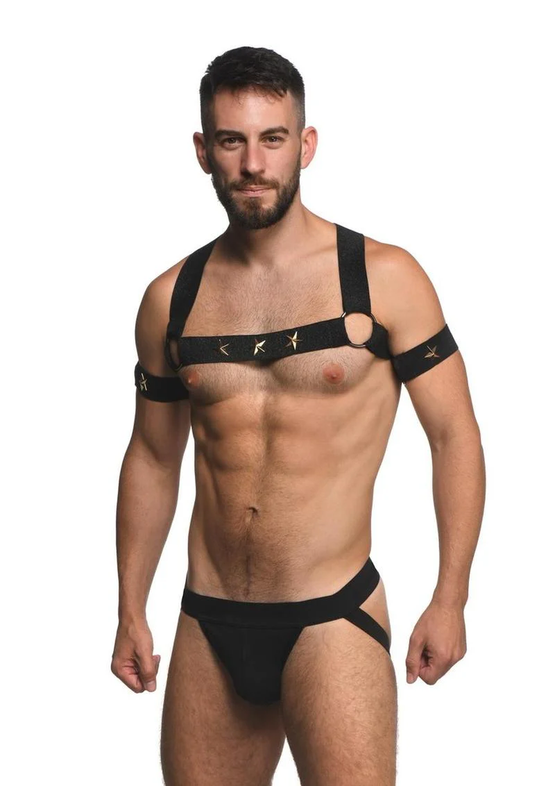 Ms Rave Chest Harness Lxl Blk/Gld - Image 4