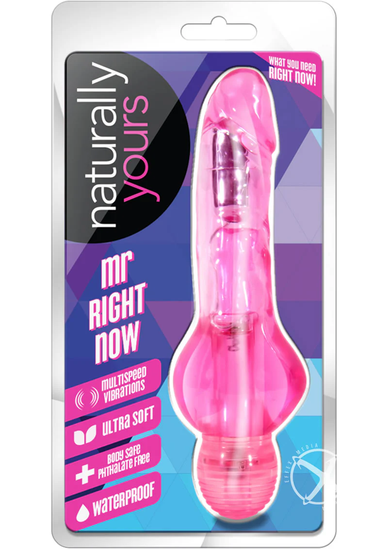 Naturally Yours Mr. Right Now Vibrating Dildo - Image 3