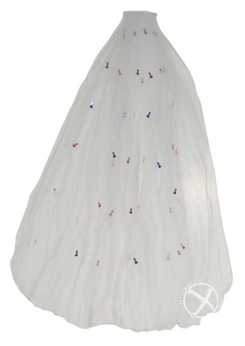 Naughty Veil - Image 2