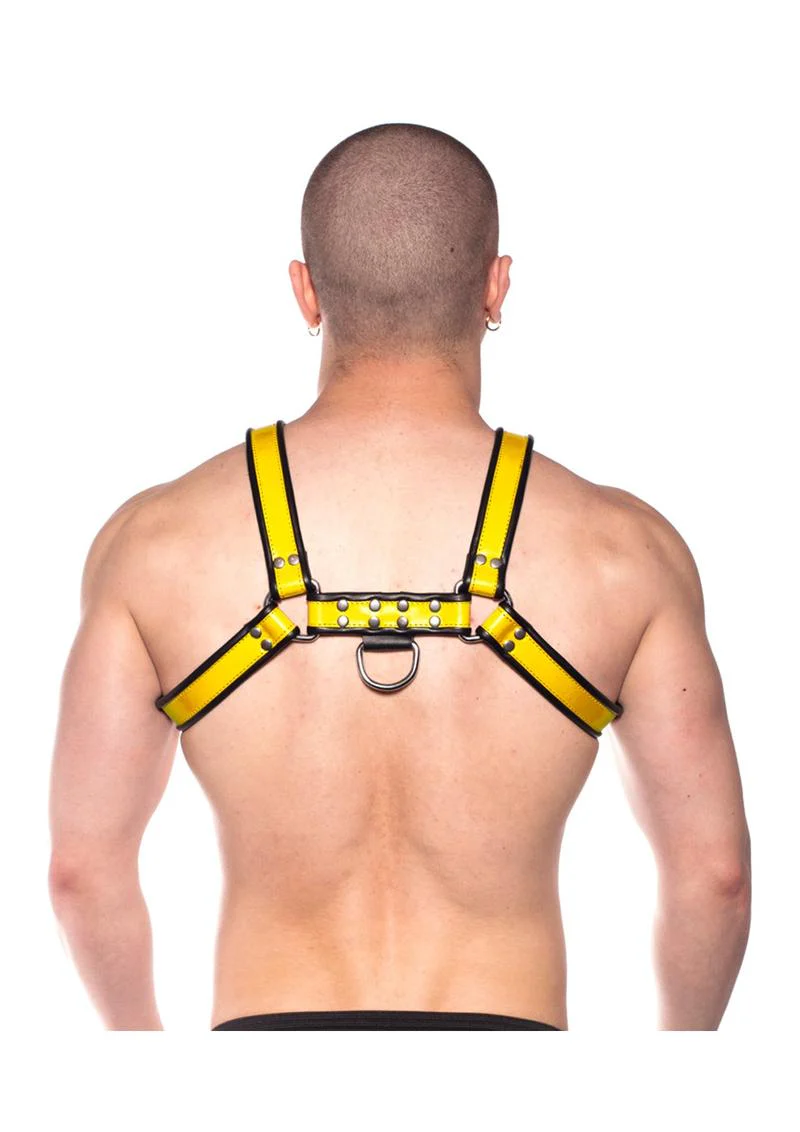 Prowler Red Bull Harness - Image 36