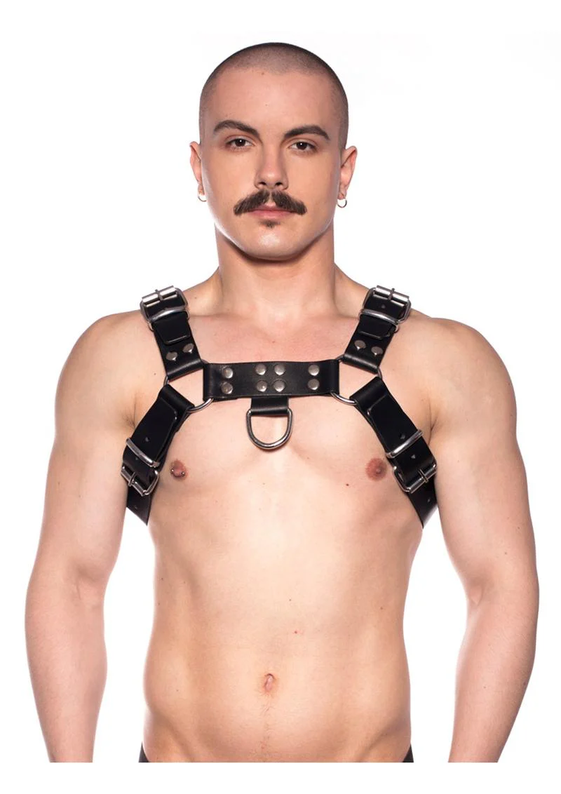Prowler Red Butch Harness - Image 2