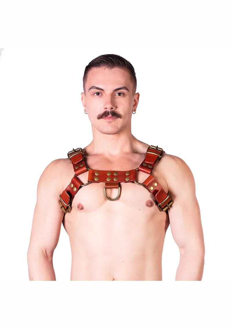 Prowler Red Butch Harness - Medium - Brown/Brass