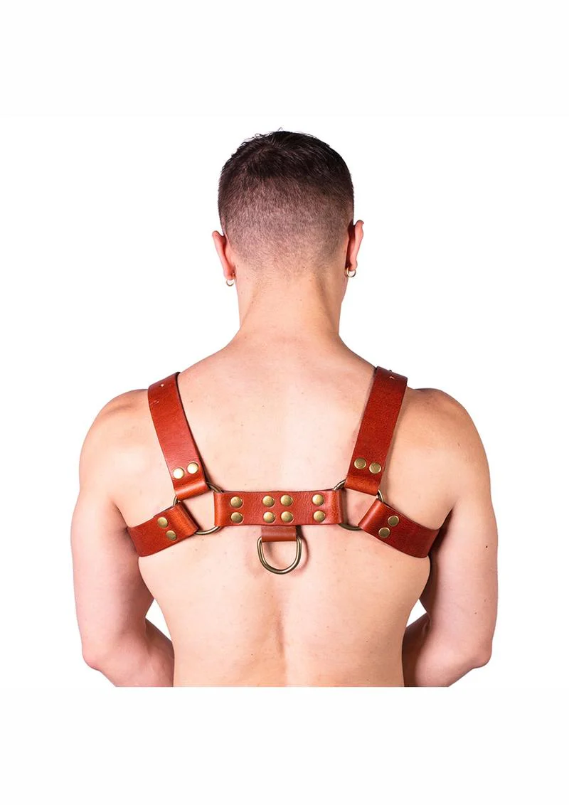 Prowler Red Butch Harness - XLarge - Brown/Brass - Image 2