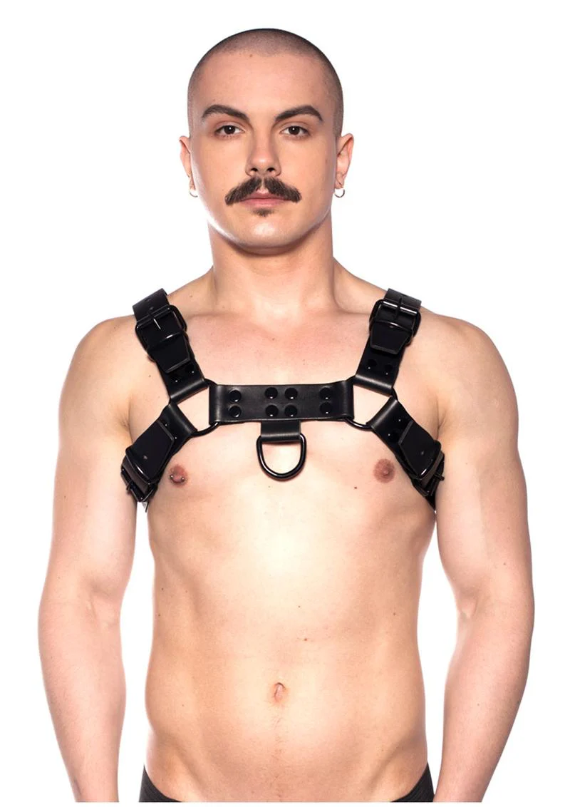 Prowler Red Noir Harness