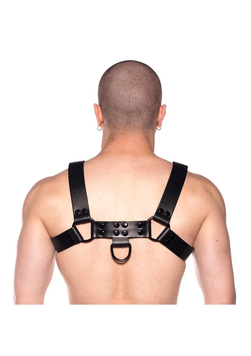 Prowler Red Noir Harness - Image 5