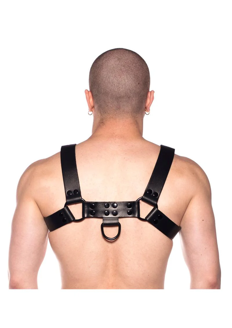 Prowler Red Noir Harness - Image 6