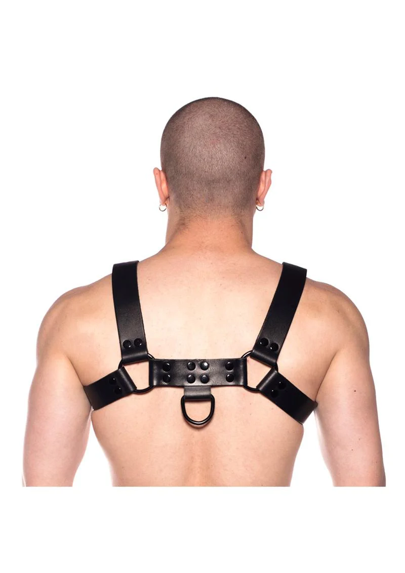 Prowler Red Noir Harness - Image 7
