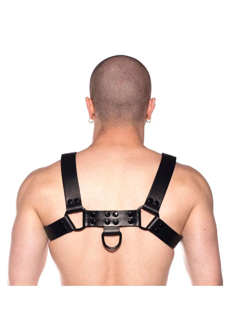 Prowler Red Noir Harness - Image 8