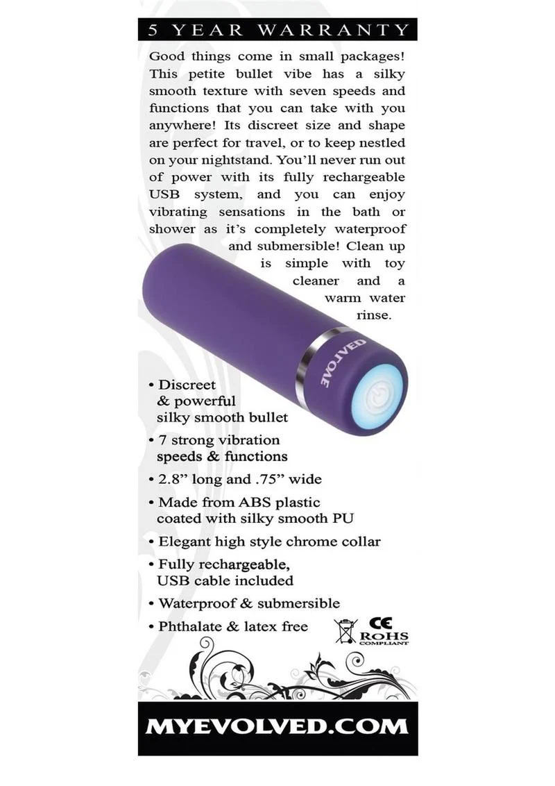 Purple Passion Rechargeable Silky Smooth Bullet - Image 4