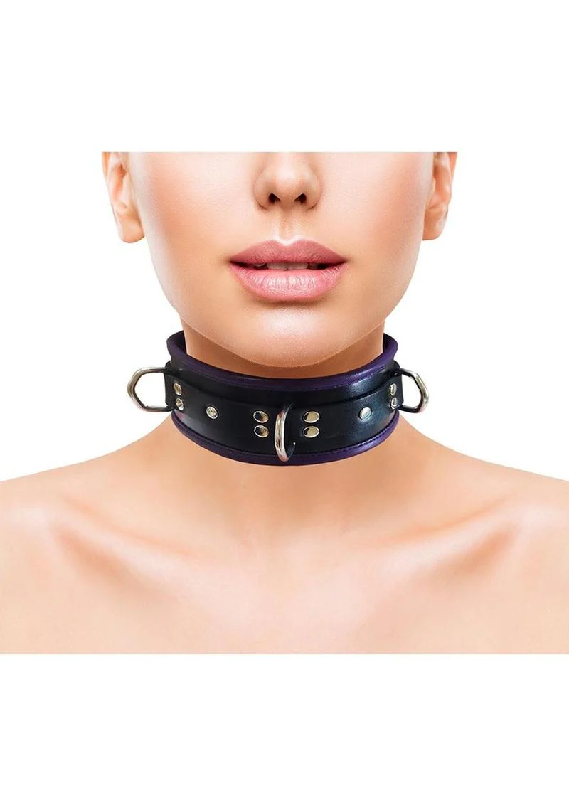 Rouge 3 D-Ring Padded Leather Adjustable Collar - Image 10