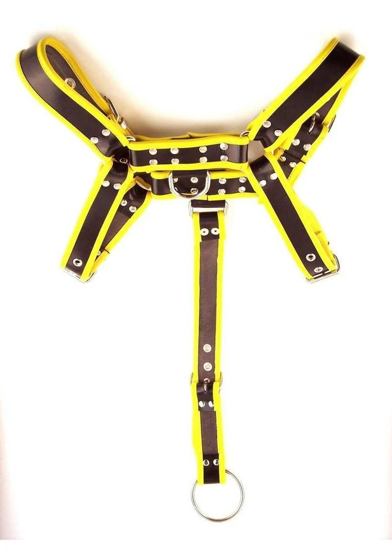 Rouge Leather Body Harness with Detachable Strap - Image 2