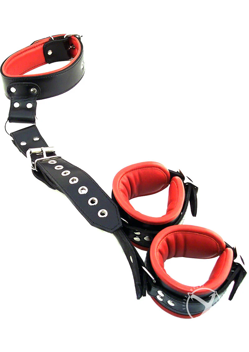 Rouge Neck to Hand Restraint - Image 2