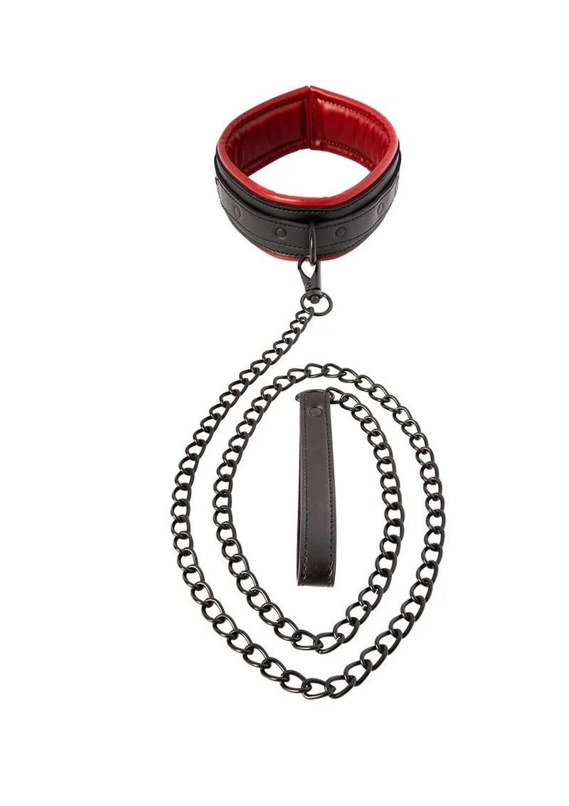 Saffron Collar and Leash - Image 4