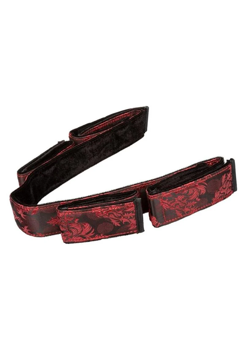 Scandal Bondage Bar - Image 4