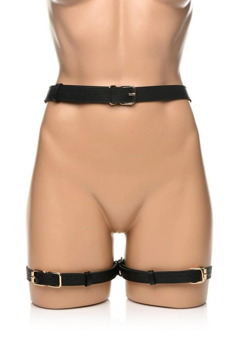Strict Bondage Harness with Bows - Image 12