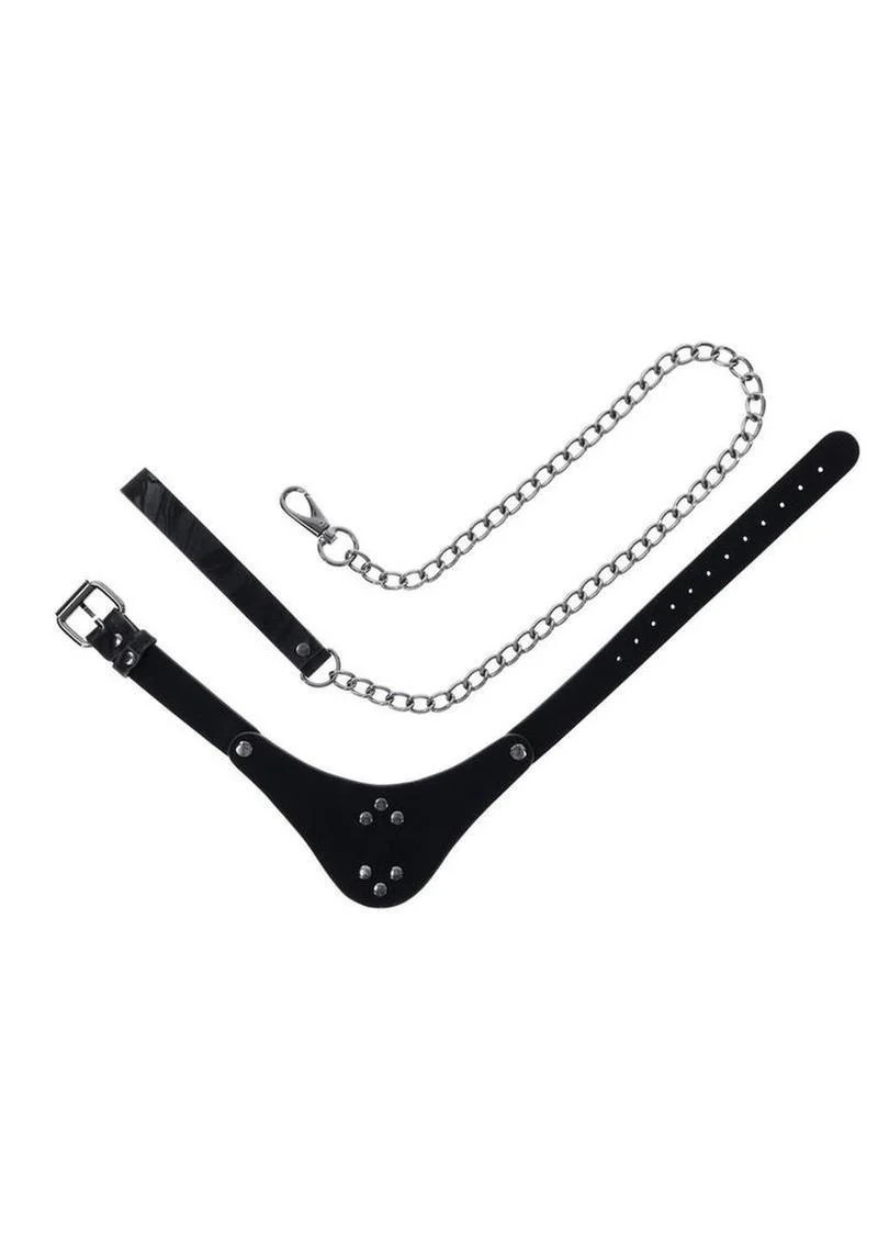 Velvet Noir Collar and Leash - Image 3